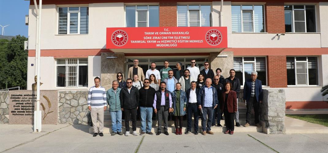 Meyve Ağaçlarında Budama ve Terbiye Sistemleri