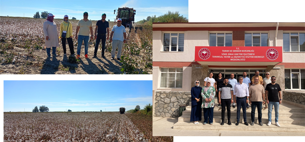 ​Kurumumuzda 22-26 Eylül tarihleri arasında düzenlenmiş olan ‘Pamuk Hasat Makineleri Kontrolörleri Yetiştirme’ Hizmet İçi Eğitimi tamamlanmıştır.